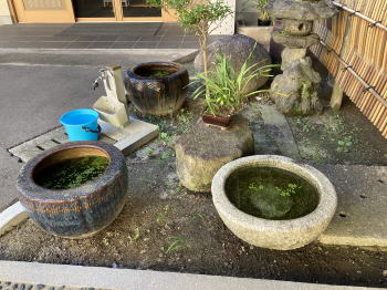 �����񍐎ʐ^